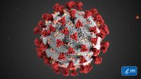 Corona Virus