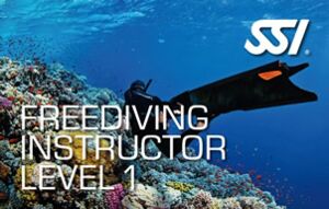 SSI Curso Instructor de buceo libre - Mexico