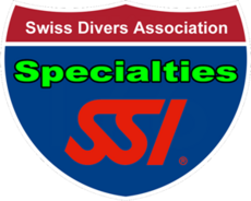 SSI Specialty Courses