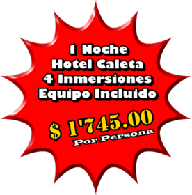 Promocion, 4 inmersiones, 2 Personas, 1 Noche en Hotel Caleta, Martes - Mircoles