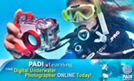 Open Water eLearning Course