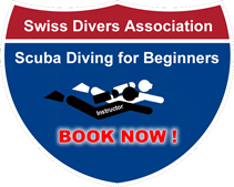 Scuba diving for beginner