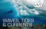 SSI Waves, Tides and Currents