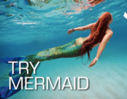 Try Mermaid