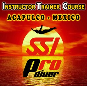 SSI Profesional Training