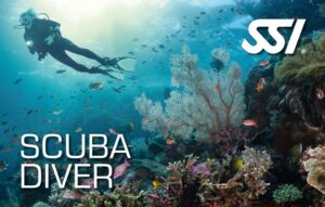 Gratis Curso Scuba Diver en linea!