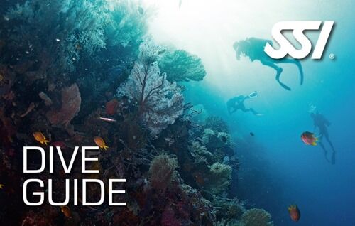 SSI Dive Guide Acapulco