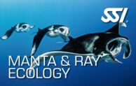 SSI Manta Ecology