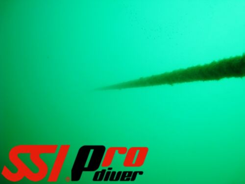 SSI Pro Open Water Scuba Instructor Acapulco - Mexico