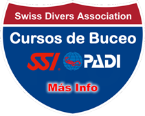 Cursos de PADI Acapulco